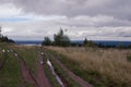 Dirty Russian road in field near forest.