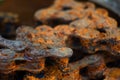 Dirty rusty industrial roller chain, soft focus Royalty Free Stock Photo