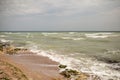 Dirty sea water full of seaweed Royalty Free Stock Photo