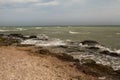 Dirty sea water full of seaweed Royalty Free Stock Photo