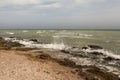 Dirty sea water full of seaweed Royalty Free Stock Photo