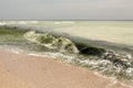 Dirty sea water full of seaweed Royalty Free Stock Photo