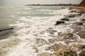 Dirty sea water full of seaweed Royalty Free Stock Photo