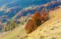 Dirty secondary road in autumn Carpathian mountain, Ukraine