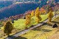 Dirty secondary road in autumn Carpathian mountain, Ukraine