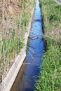 Dirty sewage and household rubbish in small river, irrigation channel causes rapid growth of algae. Water pollution. Ecological pr Royalty Free Stock Photo