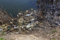 Dirty sewage and household rubbish in small river, irrigation channel causes rapid growth of algae. Water pollution. Ecological pr Royalty Free Stock Photo