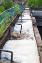 Dirty sewage water discharged in drainage