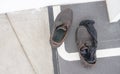 Dirty shoes and black socks on the floor in the office. Royalty Free Stock Photo