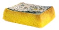 Dirty sponge Royalty Free Stock Photo