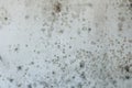 Dirty, stained and worn wall