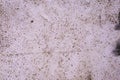 Dirty Styrofoam ,foam , Polystyrene texture Royalty Free Stock Photo