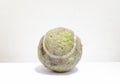 A dirty tennis ball in front of white background, ball for playing Royalty Free Stock Photo