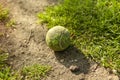 Dirty tennis ball lost in the green field.outdoor leisure activities Royalty Free Stock Photo