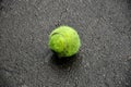 Dirty Tennis Ball Royalty Free Stock Photo