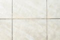 Dirty tile on bathroom floor Royalty Free Stock Photo