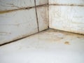 Dirty tiles in the bathroom. Black dots on bathroom enamel. Mold in the bathroom. Need a cleaning product. Cleaning product
