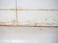 Dirty tiles in the bathroom. Black dots on bathroom enamel. Mold in the bathroom. Need a cleaning product. Cleaning product