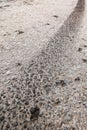 Dirty tire track on asphalt Royalty Free Stock Photo