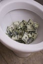 Dirty toilet with money close up, lot of cash