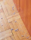 Dirty unswept wooden floor with dust