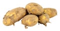 Dirty Unwashed New Potatoes