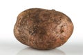 Dirty, unwashed potato