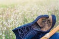 Dirty Used Kendo Kote Or Kendo Grove and Shinai On green grass ground, Warm tone Royalty Free Stock Photo