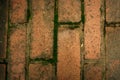 vertical brick floor