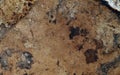 dirty vintage surface in brown tones Royalty Free Stock Photo