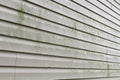 Dirty Vinyl Siding Needs Power Washing Royalty Free Stock Photo