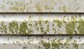 Dirty vinyl siding needs pressure washing. Dirty facade building exterior