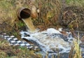 Dirty waste water merges into a clean forest stream Royalty Free Stock Photo