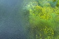 Dirty water in the river. Pollution of the river water. Ecological problems. Algae bloom. Top view Royalty Free Stock Photo