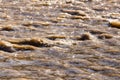 Dirty water in a stormy river as a background