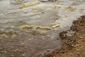 Dirty wave with old dirty seaweed. Dirty sea, environmental pollution problem. Toxic decaying algae. Ecological catastrophy