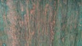 Dirty wood texture background. Natural brown background of old wood door. Royalty Free Stock Photo