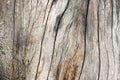 Dirty wooden background Royalty Free Stock Photo
