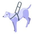 Disabled dog walking using support wheelchair Royalty Free Stock Photo
