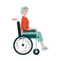 Disabled elderly woman in wheelchair flat cartoon vector illustration isolated.