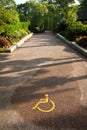 Disabled Pathway