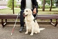 Disabled person sit having rest with dog guide outdoors Royalty Free Stock Photo