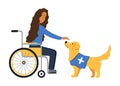 Disabled woman in wheelchair with golden retriever assistant. Service pet and patient isolated on background. Dog therapy