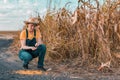 Disappointed female corn farmer in cornfield after poor harvest