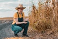 Disappointed female corn farmer in cornfield after poor harvest