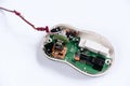 Disassembled computer mouse on white background. Gadget repair. Royalty Free Stock Photo