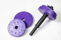 Disassembled dumbbell on white background Royalty Free Stock Photo