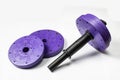 Disassembled dumbbell on white background Royalty Free Stock Photo