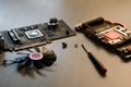 Disassembled graphics card XFX GPU AMD fan screws screwdriver on a table,