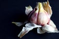 Disassembled head of garlic on a black background, top view-the concept of using a vitamin vegetable for the prevention of various